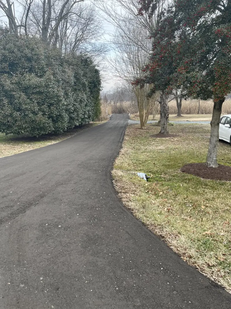 Newly paved residential driveway curving between mature trees and shrubs