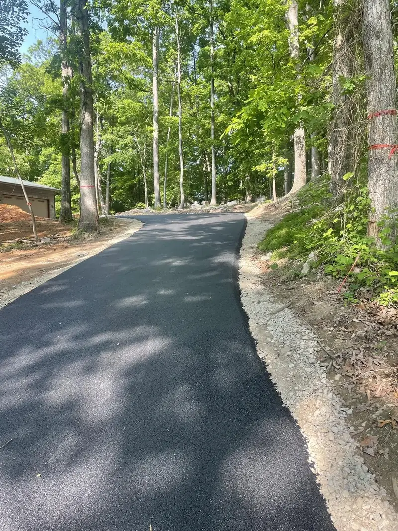 Paved drive with a clean gravel shoulder through a stand of tall trees