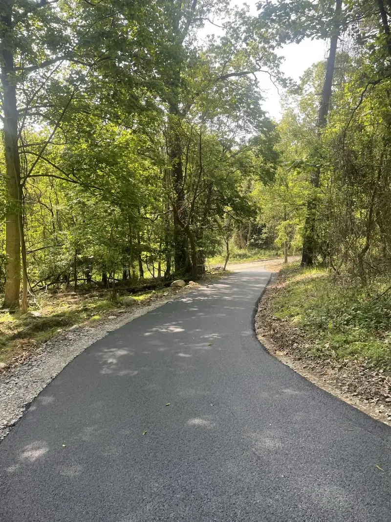 Long paved lane running into a summer forest canopy